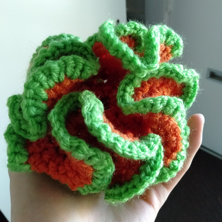 Hyperbolic surface